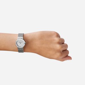 Relógio Skagen Feminino em Aço Prateado