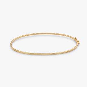 Pulseira Rígida em Ouro Amarelo 18k