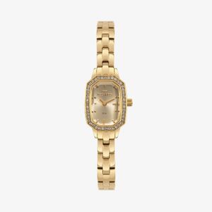 Relógio Technos Feminino em Aço Dourado 5Y20LT/1D