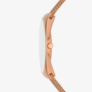 Relógio Skagen Feminino em Aço Rosé SKW6827B1