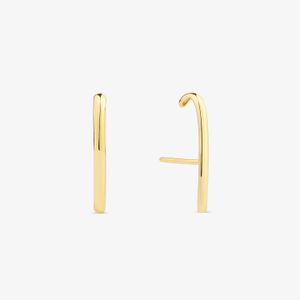Brinco Ear Hook em Ouro Amarelo 18k