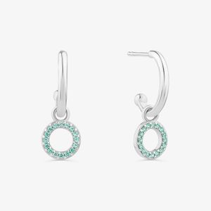 Argola Círculo Cravejada em Prata 925